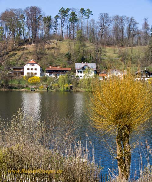P1070558.jpg