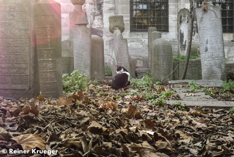 DSCF3570.jpg - Friedhof bei der Eyüp-Moschee