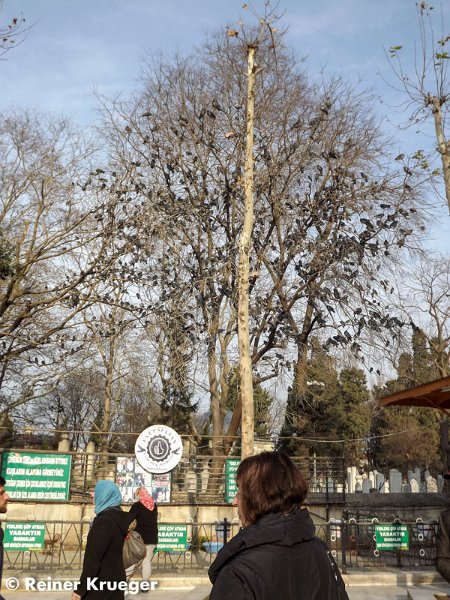 DSCF3577.jpg - Bei der Eyüp-Moschee