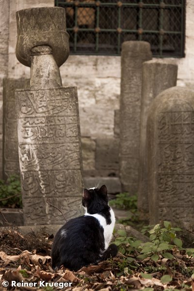 IMG_0447.jpg - Friedhof bei der Eyüp-Moschee