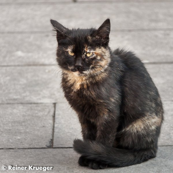IMG_0454.jpg - Bei der Eyüp-Moschee