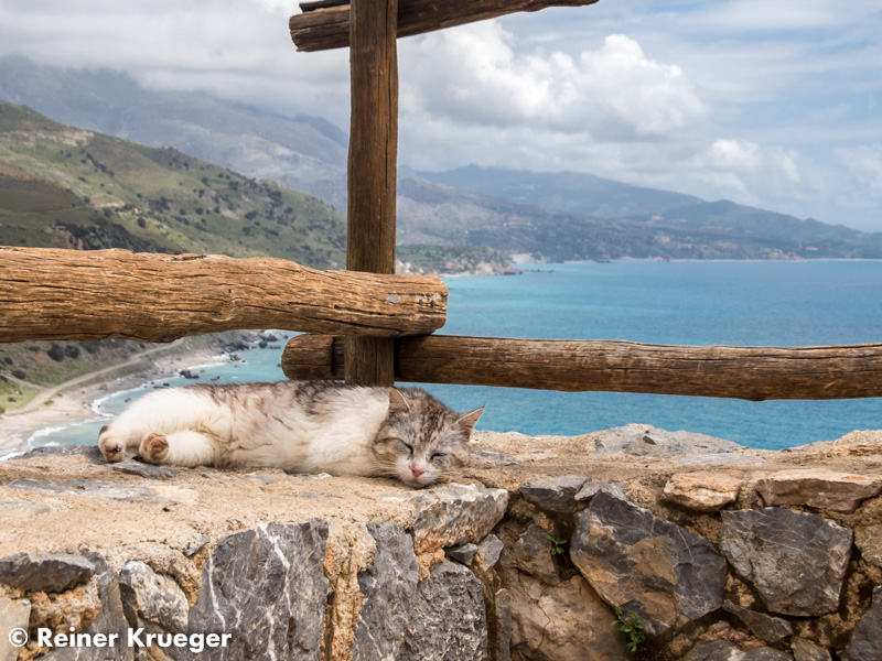 Kreta2015_048.jpg