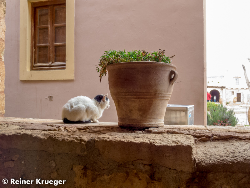 Kreta2015_127.jpg
