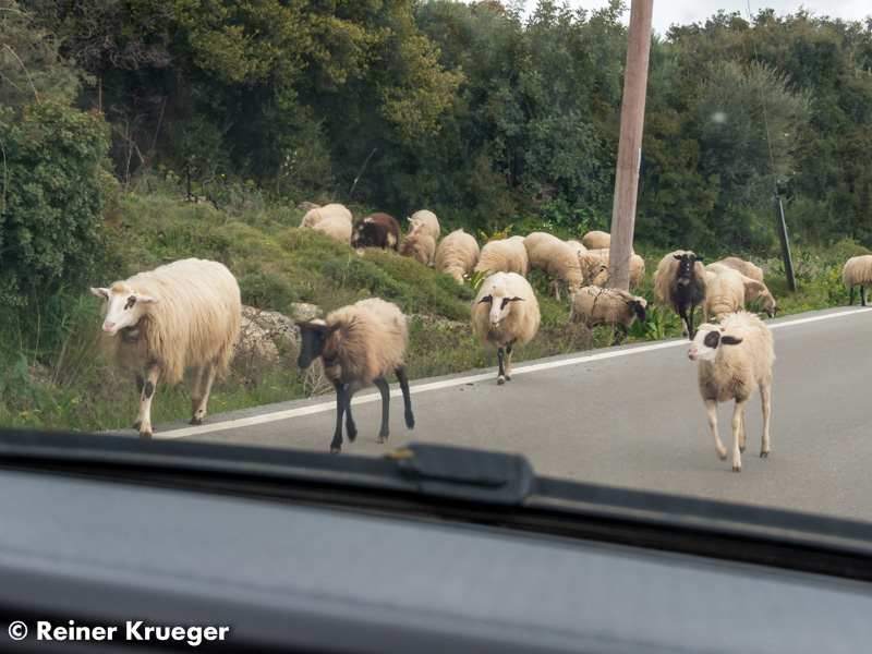 Kreta2015_150.jpg