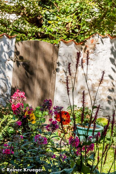 IMG_5896.jpg - Blick aus dem Küchenfenster