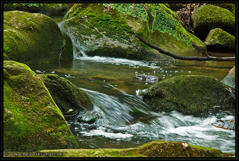 Lux2011_0138.jpg - Müllertal