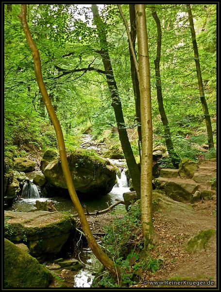 LuxD2011_0021.jpg - Müllertal