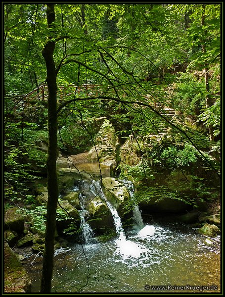 LuxD2011_0033.jpg - Müllertal