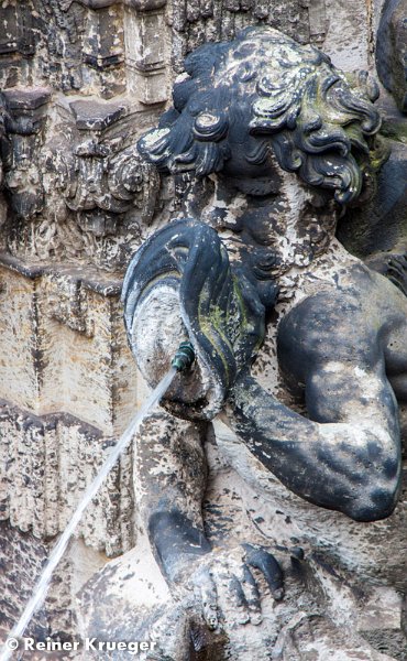 IMG_1376.jpg - Zwinger