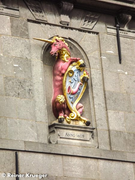 DSCF2655.jpg - Hoorn