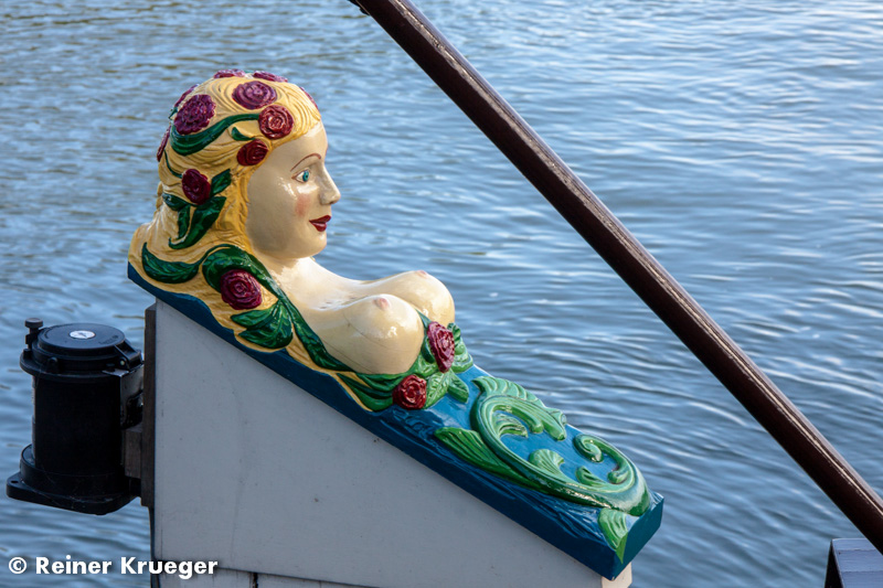 IMG_0224.jpg - Hoorn