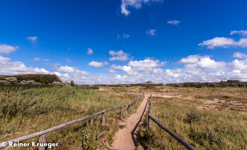 IMG_9787-1-1.jpg - Dünenschutzgebiet nördlich von Wijk aan Zee