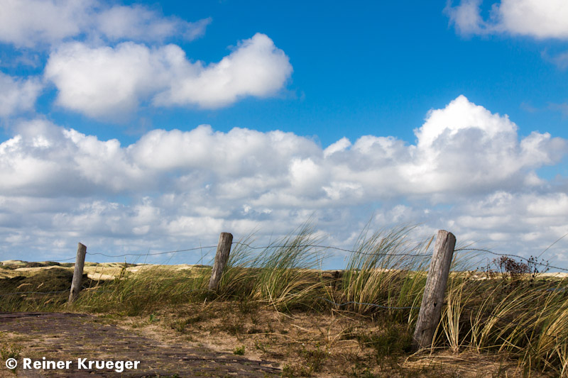 IMG_9801-1-1.jpg - Dünenschutzgebiet nördlich von Wijk aan Zee