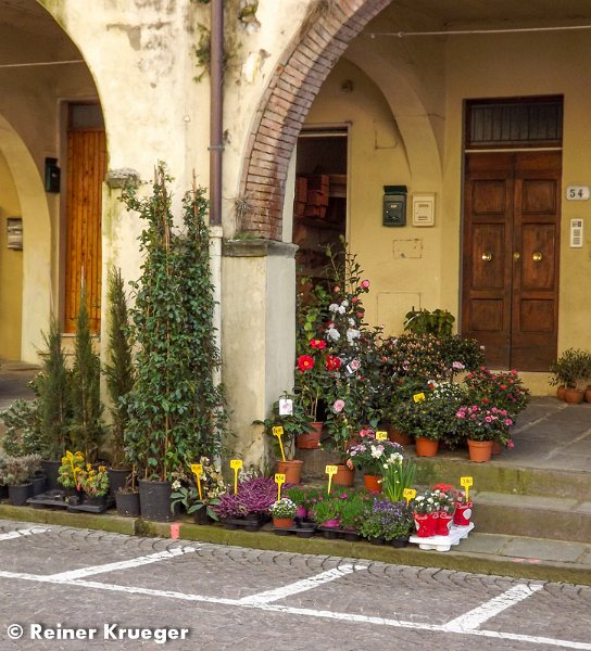 Toskana-045.jpg - Greve in Chianti