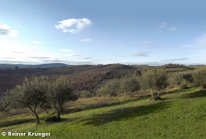 Toskana-053.jpg - Lavanda in Montebuoni - Ausblick
