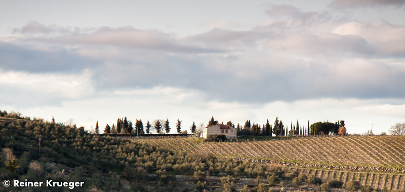 Toskana-054.jpg - Lavanda in Montebuoni - Ausblick