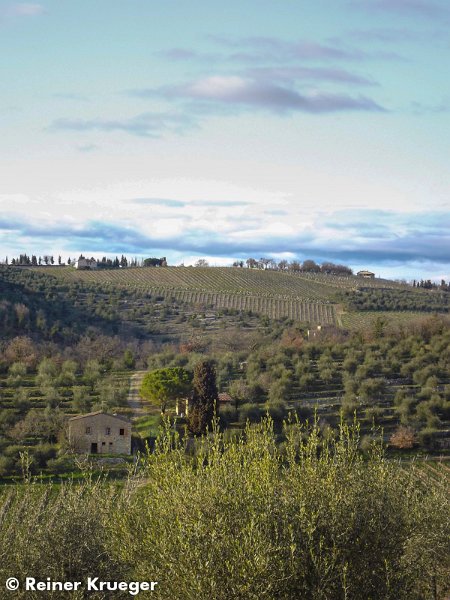 Toskana-055.jpg - Lavanda in Montebuoni - Ausblick