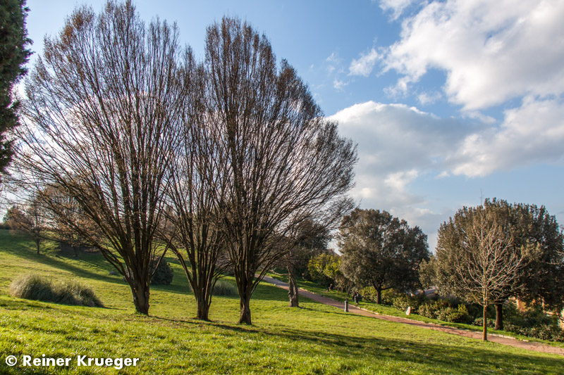 Toskana-127.jpg - Volterra